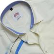 Handpainted Lemon Shirt : Ditto