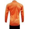 Plain Rust Shirt : Business