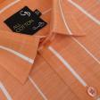 Stripes Orange Shirt : Business
