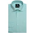 Plain Light Green Shirt : Business