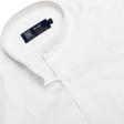 Plain White Shirt : Party