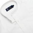 Plain White Shirt : Party