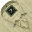 Stripes Green Shirt : Business