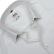 Print White Shirt : Ditto