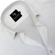 Plain White Shirt : Business