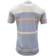 Stripes Blue T-shirt : Regular