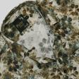 Print Brown Shirt : Party