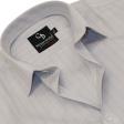 Stripes Gray Shirt : Business