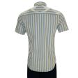 Stripes Blue Shirt : Ditto