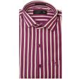 Stripes Mauve Shirt : Business