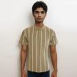 Stripes Fawn T-shirt : Regular