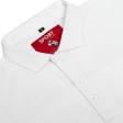 Plain White T-shirt : Regular