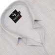Stripes Gray Shirt : Business