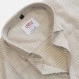 Stripes White Shirt : Ditto