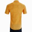 Plain Orange Shirt : Ditto
