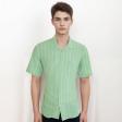 Prints Green Shirt : Ditto