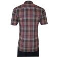 Checks Blue Shirt : Ditto