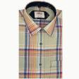 Checks Light Green Shirt : Ditto