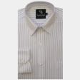 Stripes Blue Shirt : Business