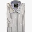 Stripes Gray Shirt : Business