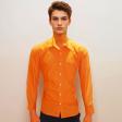 Plain Orange Shirt : Business
