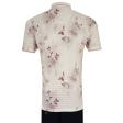 Print Maroon T-shirt : Regular