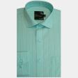 Stripes Light Green Shirt : Business