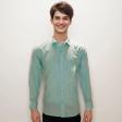 Stripes Light Green Shirt : Business