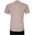 Stripes Pink Shirt : Ditto
