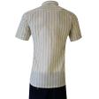 Stripes Green Shirt : Business