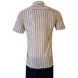 Stripes Rust Shirt : Business