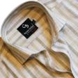 Stripes Light Green Shirt : Business