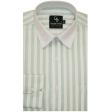Stripes Light Green Shirt : Business