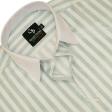 Stripes Light Green Shirt : Business