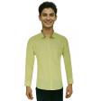 Plain Green Shirt : Business