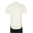 Handpainted White Shirt : Ditto