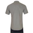 Handpainted Gray Shirt : Ditto