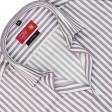 Stripes Gray Shirt : Business