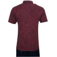 Print Maroon T-shirt : Regular