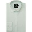 Stripes Light Green Shirt : Business