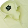 Self Design Light Green Shirt : Business