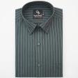 Stripes Dark Green Shirt : Business