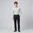 Stripes Light Green Shirt : Business