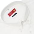 Plain White Shirt : Business