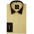 Stripes Lemon Shirt : Business