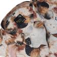 Print Fawn Shirt : Party