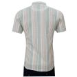 Stripes Green T-shirt : Regular