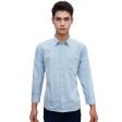 Checks Blue Shirt : Business