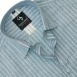 Stripes Green Shirt : Business