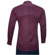 Stripes Maroon Shirt : Business